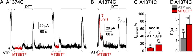 Figure 11.