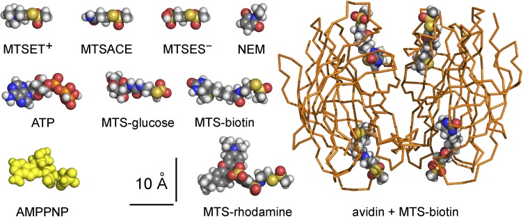 Figure 2.