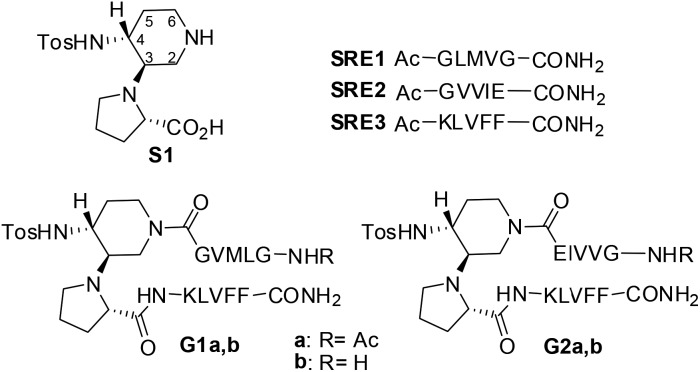 Fig. 1