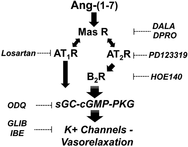 Fig. 6.