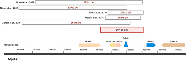 FIGURE 3