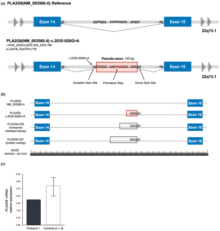 FIGURE 2