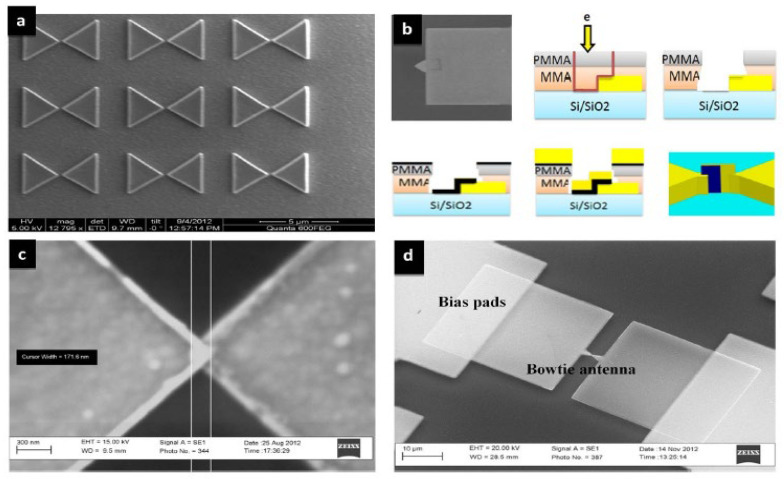 Figure 30