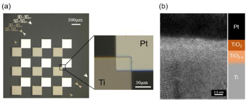 Figure 31