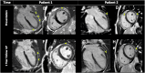 Fig. 3