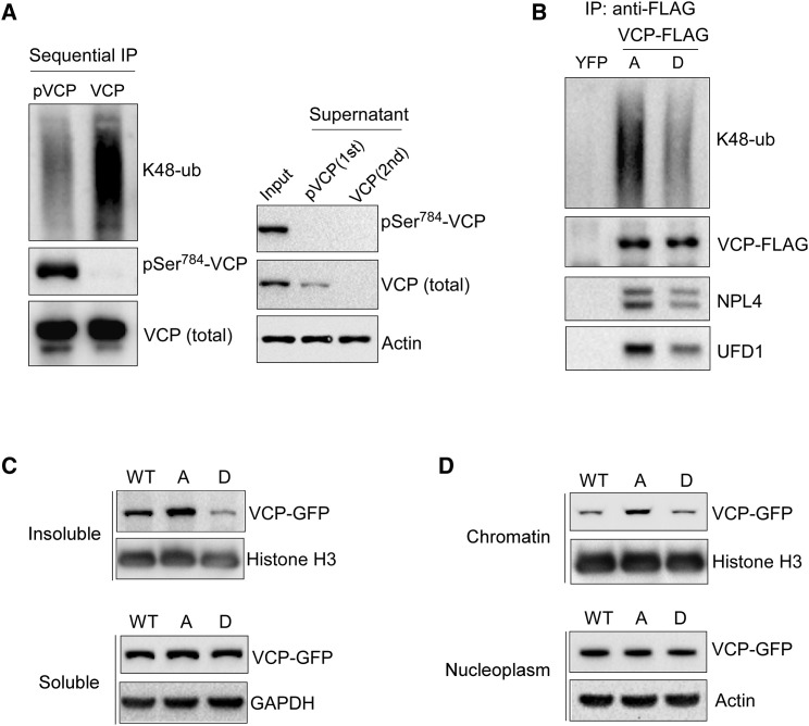 Figure 6