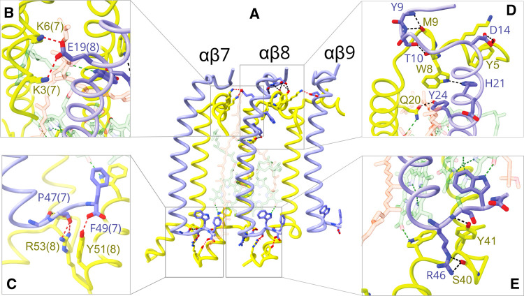 Figure 2.