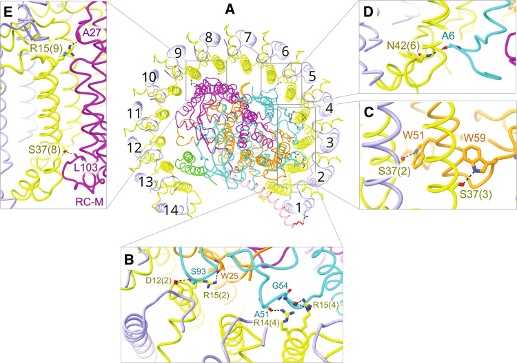 Figure 3.