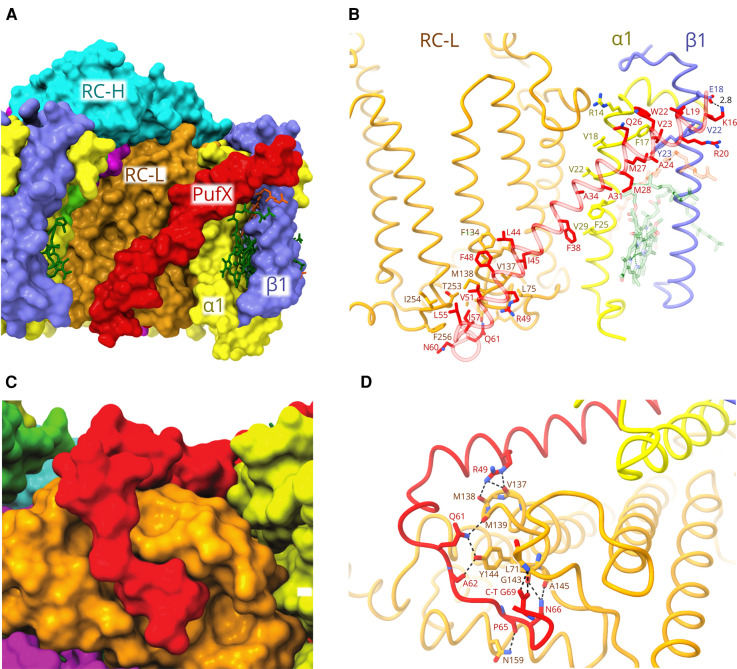 Figure 7.