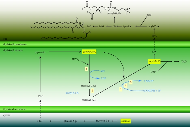 Figure 3.