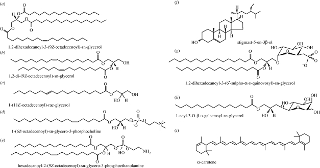 Figure 2.