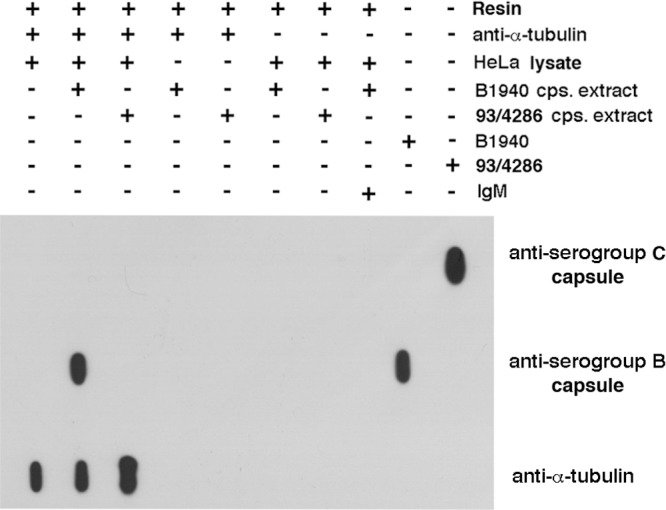 FIG 6