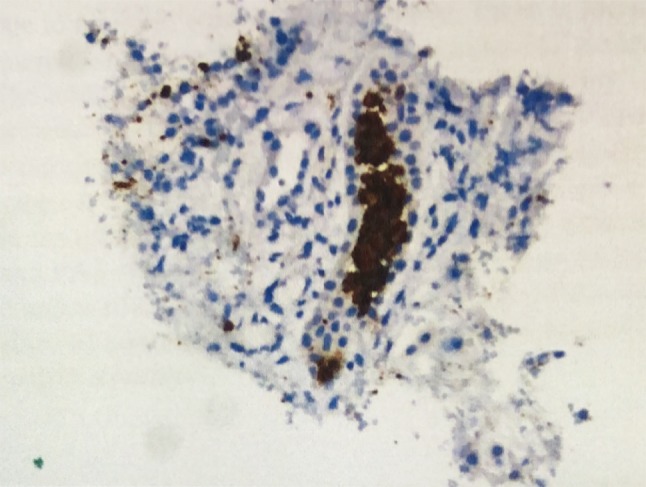 Fig. 3