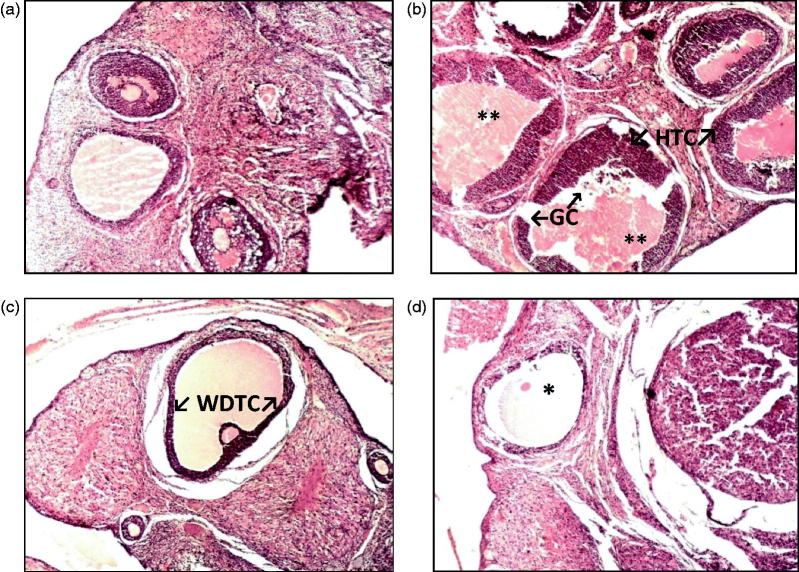 Figure 7.