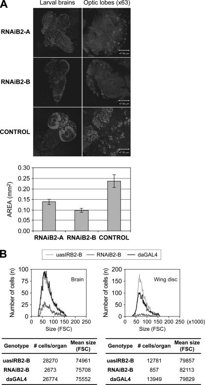 FIGURE 5.