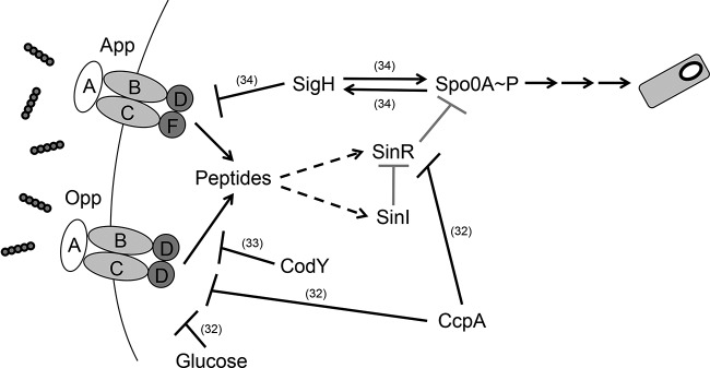 FIG 8