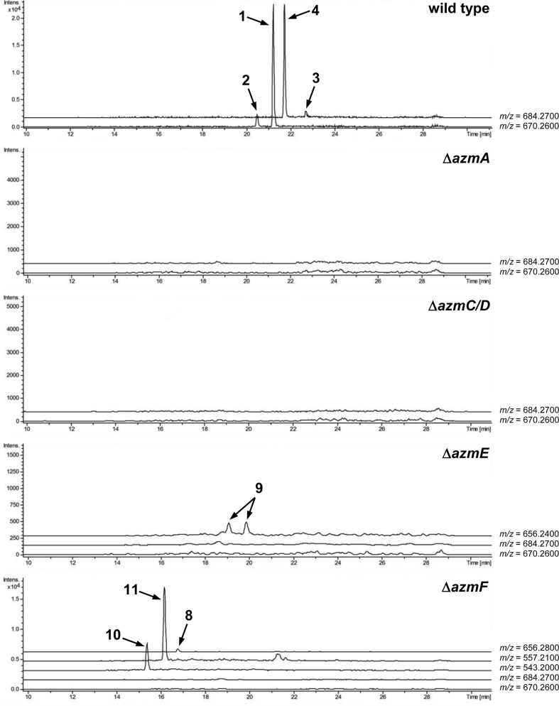 Fig. 3