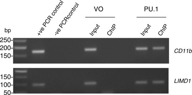 Supplementary Fig. 3