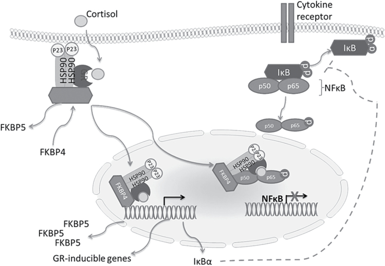 Figure 2.