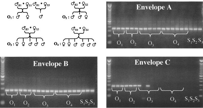 FIG. 1