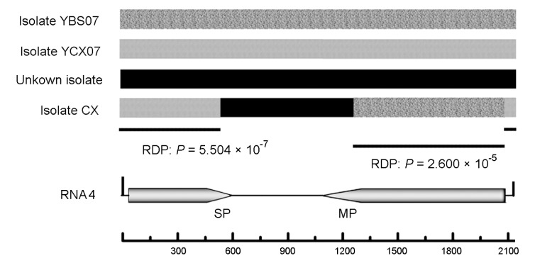 Fig. 5