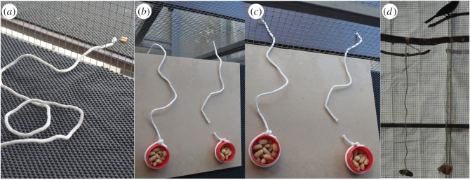 Figure 2.