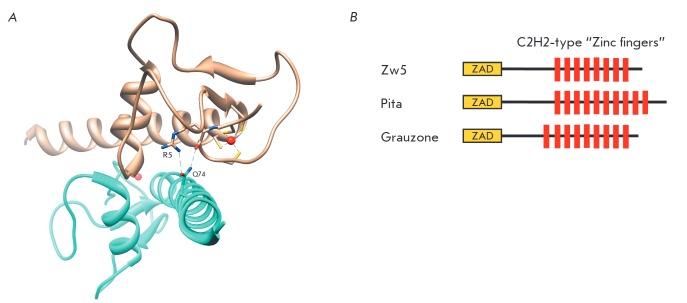 Fig. 2