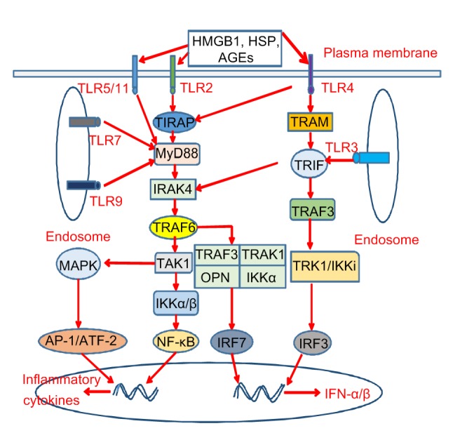 Fig. 2