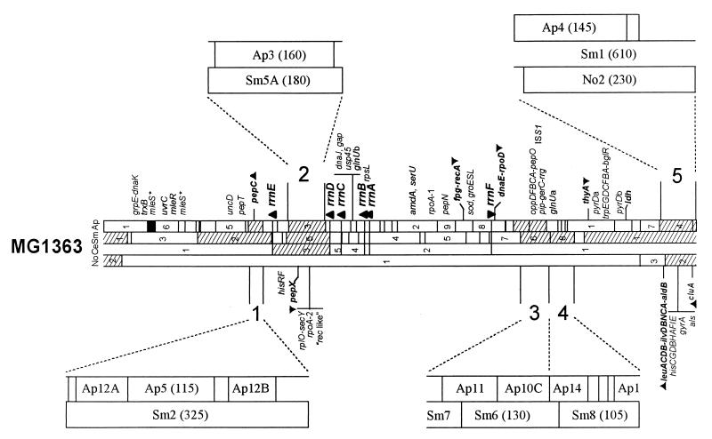 FIG. 3