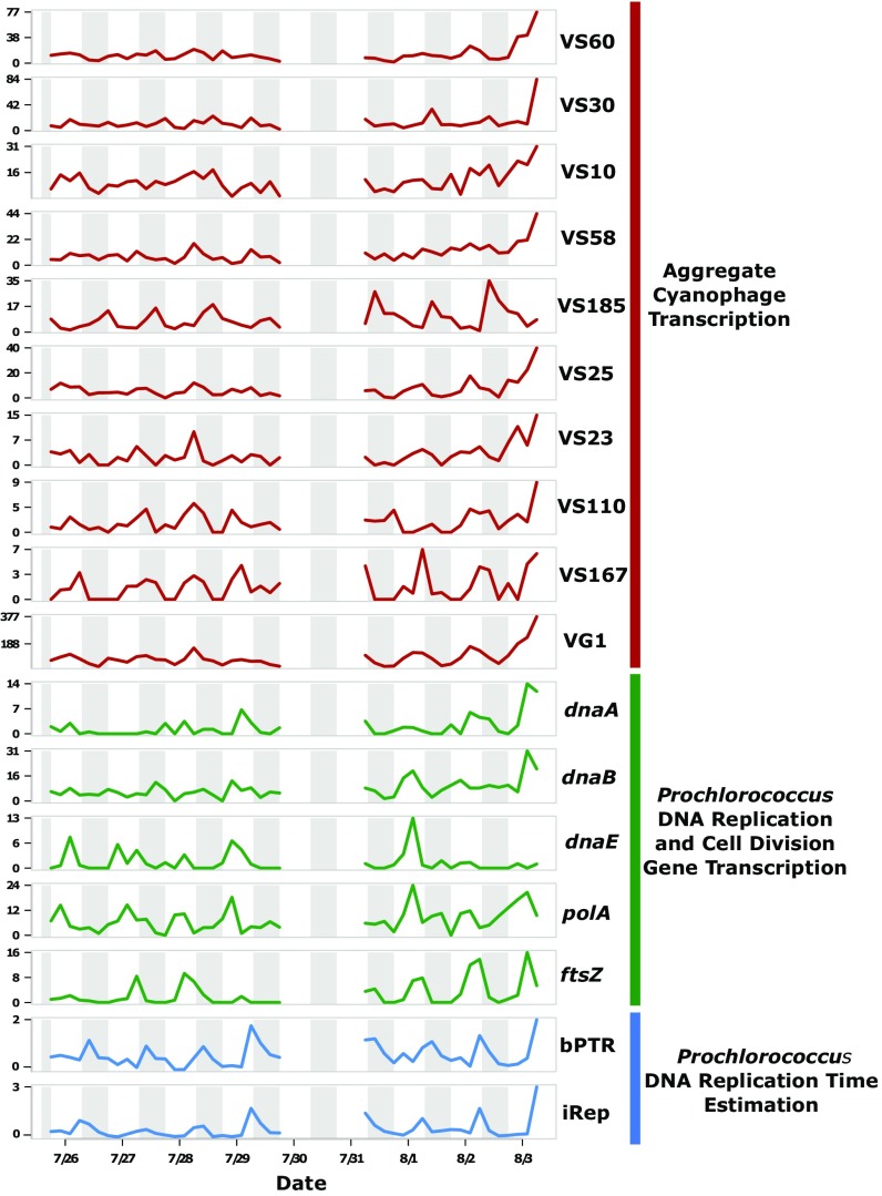 Fig. 3.