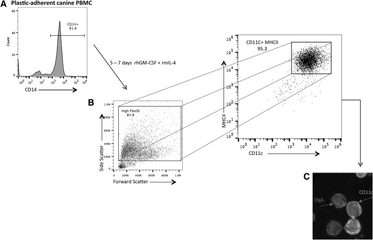 FIG. 1.