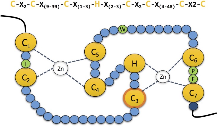 FIGURE 2