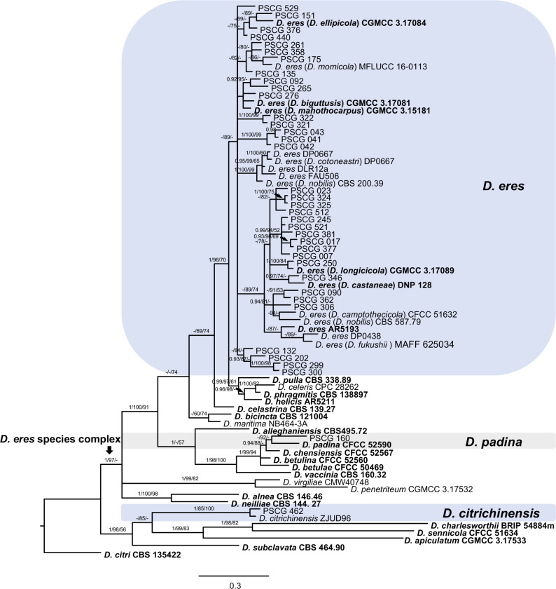 Fig. 2