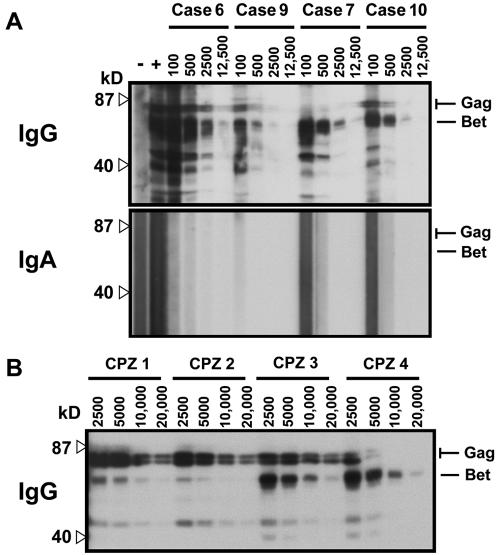 FIG. 1.