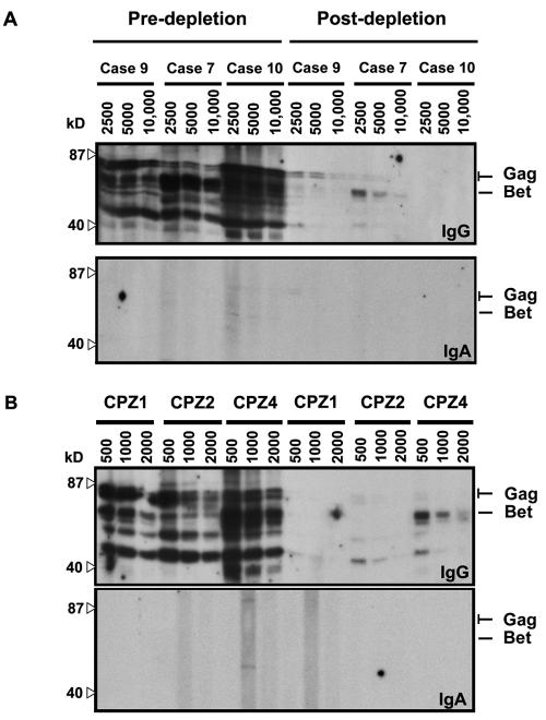 FIG. 3.