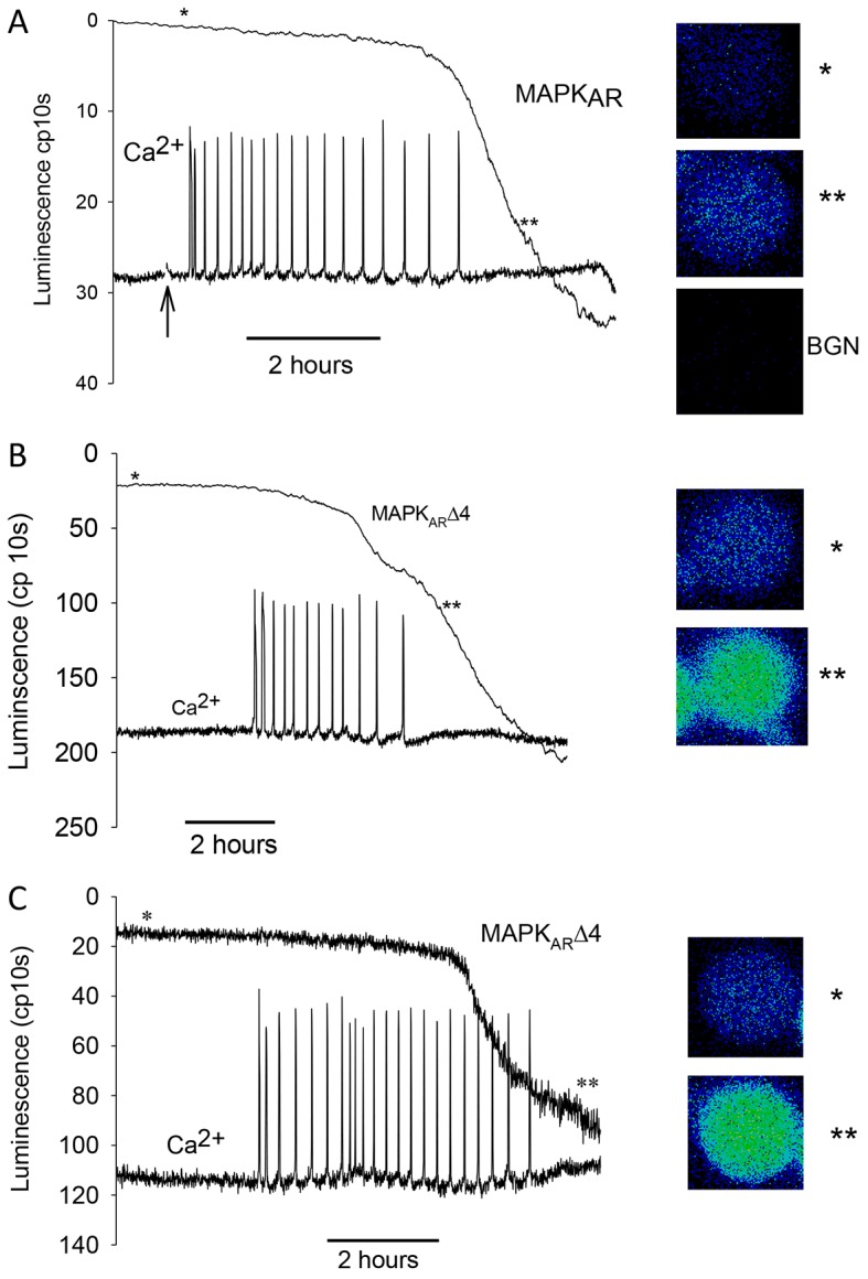 Fig. 3.