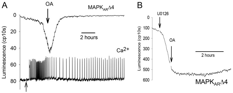 Fig. 7.