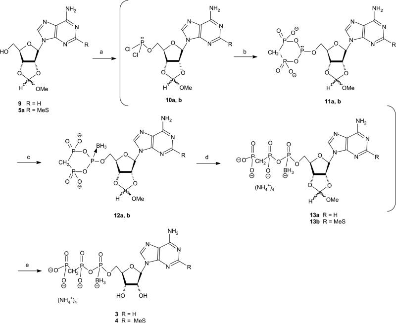 Scheme 2