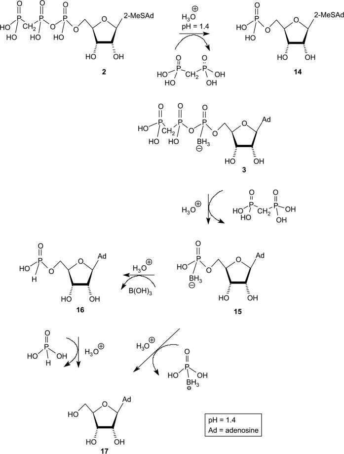 Scheme 3