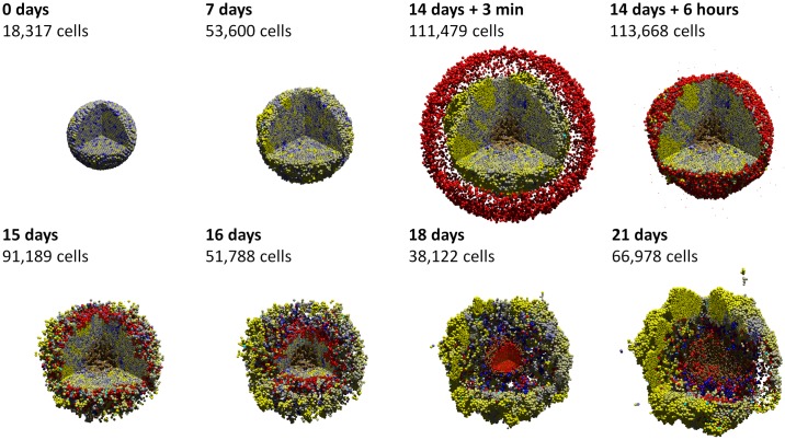 Fig 10