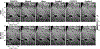 Fig. 11.