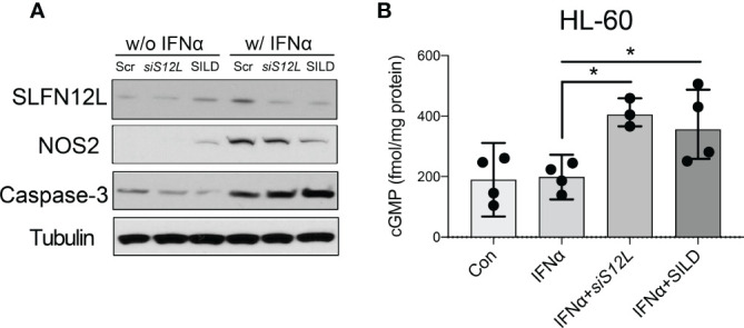 Figure 5