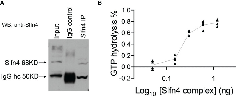 Figure 6