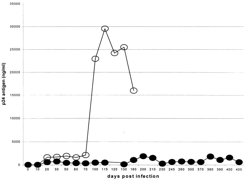 FIG. 6