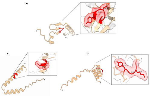 Figure 7.