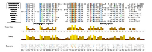 Figure 6.