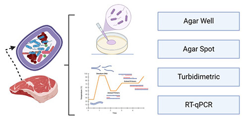 Figure 3.