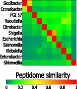 Graphical Abstract