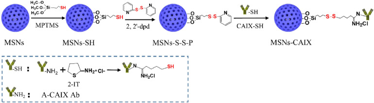 Scheme 2