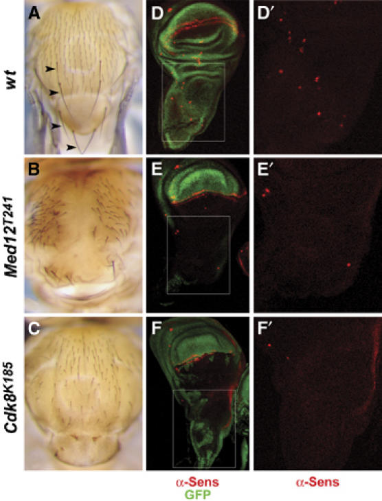 Figure 6